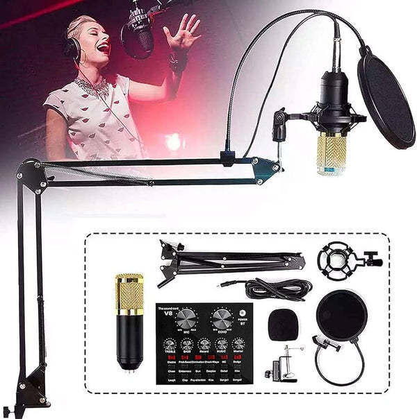 Desktop microphone Stand set